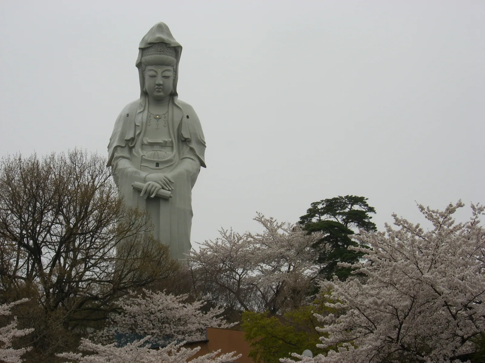 다카사키 백의대관음 모습