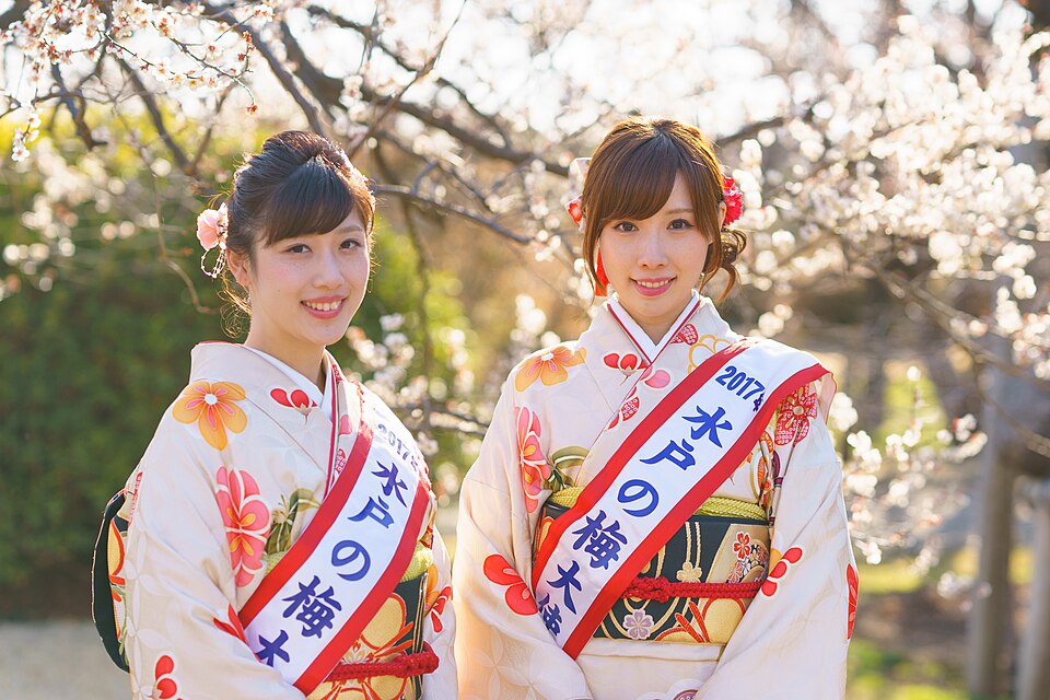 水戶梅花祭的歷屆記錄照片，並非當屆活動現場。